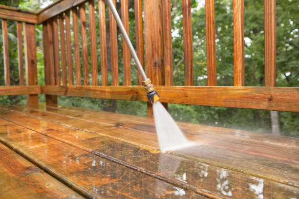 Best Dumpster Area Cleaning  in Westgate, FL